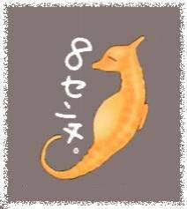 hatori le dragon